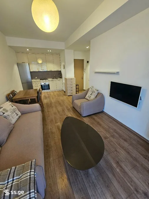 2 room Flat For Rent. Saburtalo