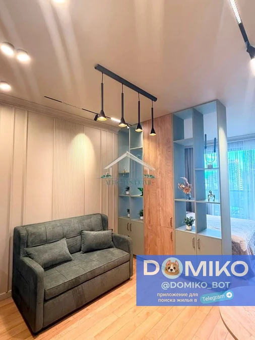 Studio room, 35 m² apartment