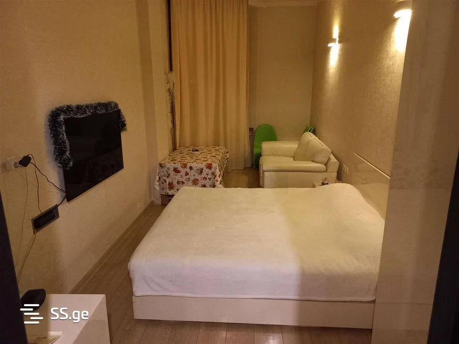 1 room Flat Daily rent. Vake
