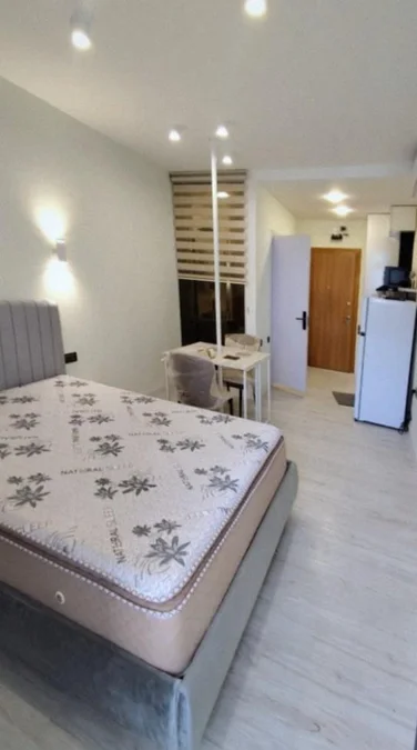 Alley Palace: Студия, 30,0 м²