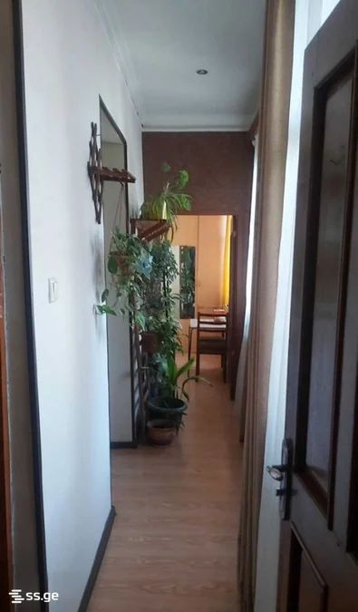 Коммерческое помещение на cinamdzgrishvili st. 0 Chugureti