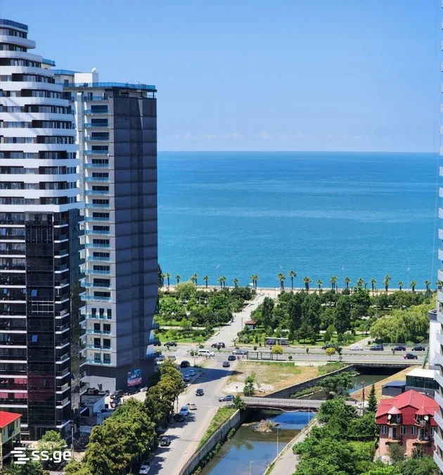 1+1 на ГР. Лорткипанидзе ул. 30 Airport District