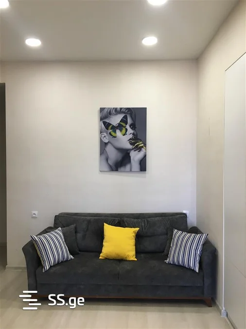 2 room Flat daily rent. Saburtalo