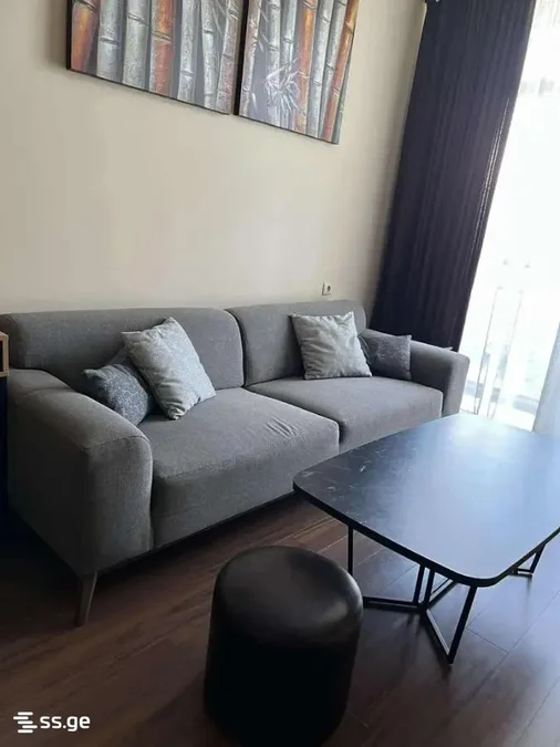 1+1 на Z. Gorgiladze Street 0 Rustaveli District