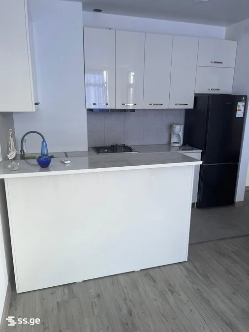 1+1 на Хайдара Абашидзе Улица 65 Agmashenebeli District