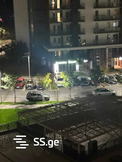2 room Flat For Rent. Saburtalo