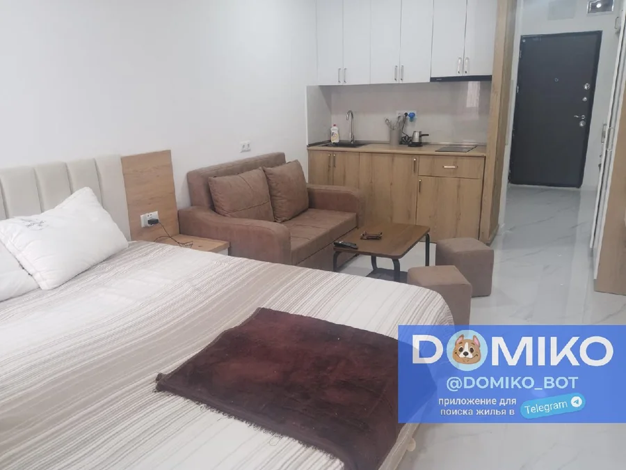 Студия на ლორთქიფანიძის ქუჩა 24 Tamar Settlement