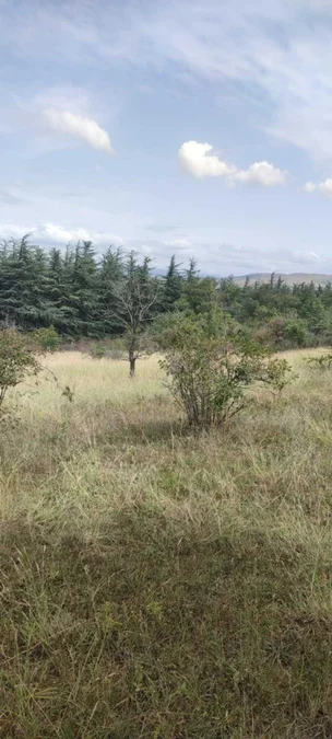 Land For Sale. Ivertubani