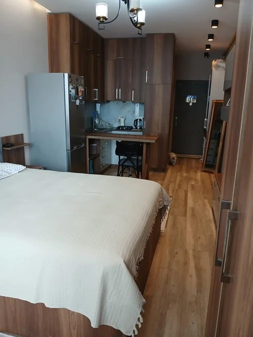DS Chavchavadze: Студия, 33.3 м²