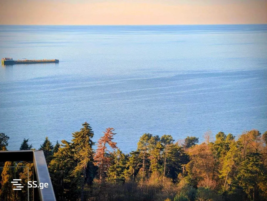 1+1 на поселок Тамар 7 Tamar Settlement