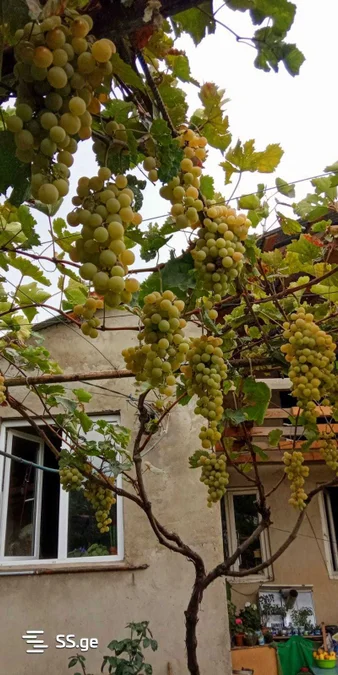3 room Private House For Rent. Chugureti