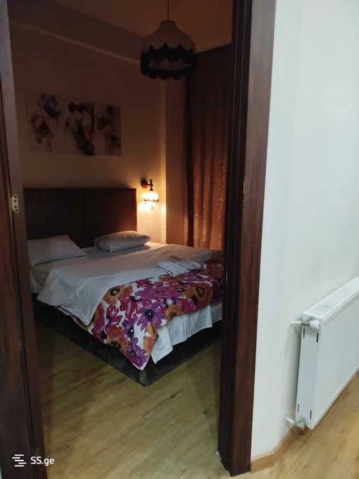 2 room Flat Daily rent. Saburtalo