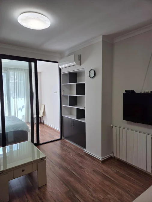 1+1 квартира, Вахтанга Горгасали 76, $500