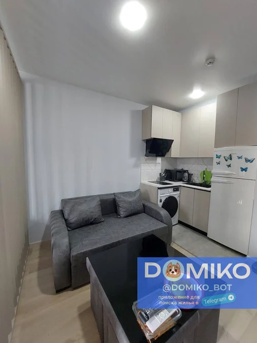 Студия, Лорткифанидзе 24, 35 кв.м, $400