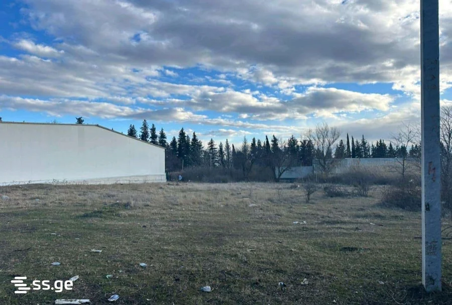 Земля на продажу. Лило