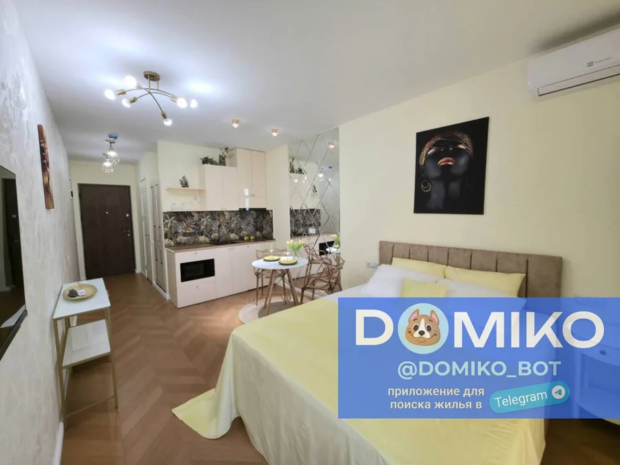 Studio room, 35 m² apartment