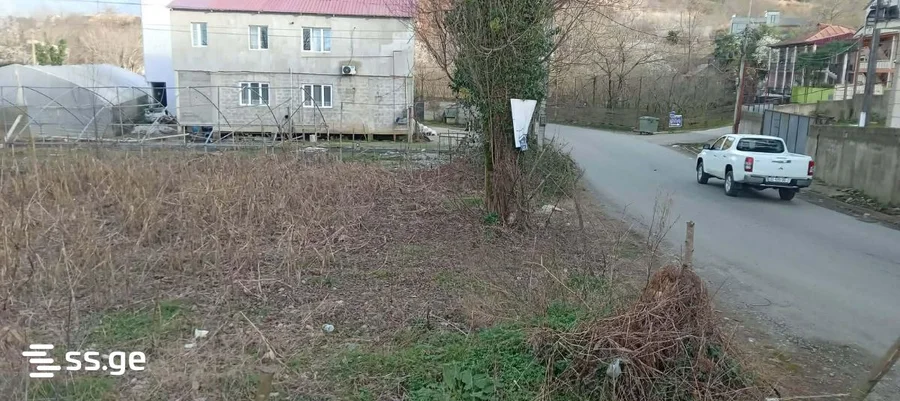 Земельный участок, Бензе, ул. Юсуфа Пагавы 45