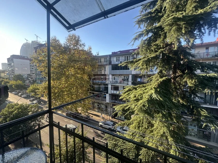 1+1 на З. Горгиладзе Ул. 57 ძველი ბათუმის უბანი
