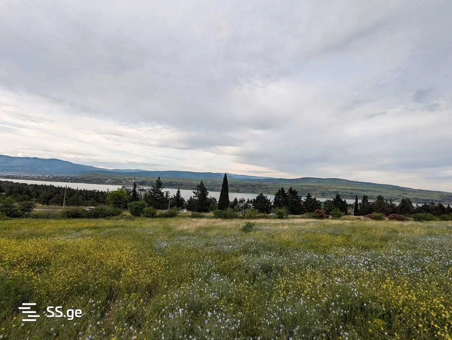 Land For Sale. Tbilisi sea