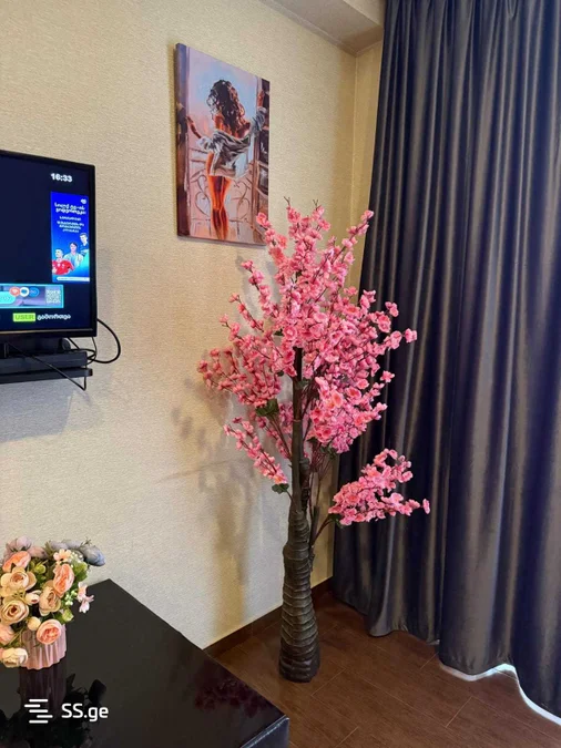 2 room Flat Daily rent. Nadzaladevi
