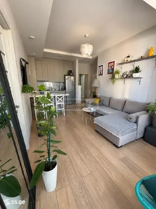 3 room Flat for rent. Didi digomi
