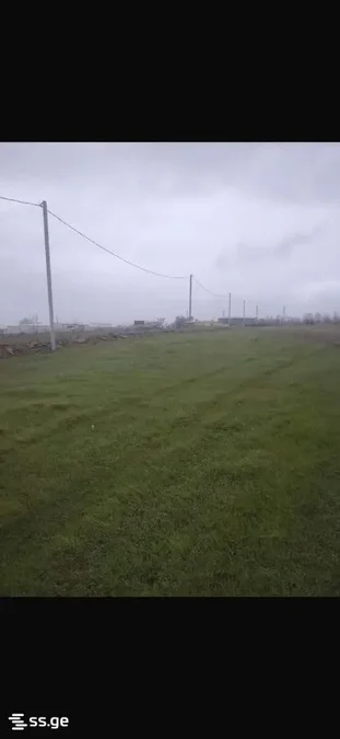 Земля на продажу. Лило