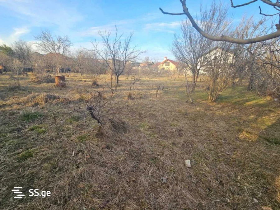 Land For Sale. Digomi village