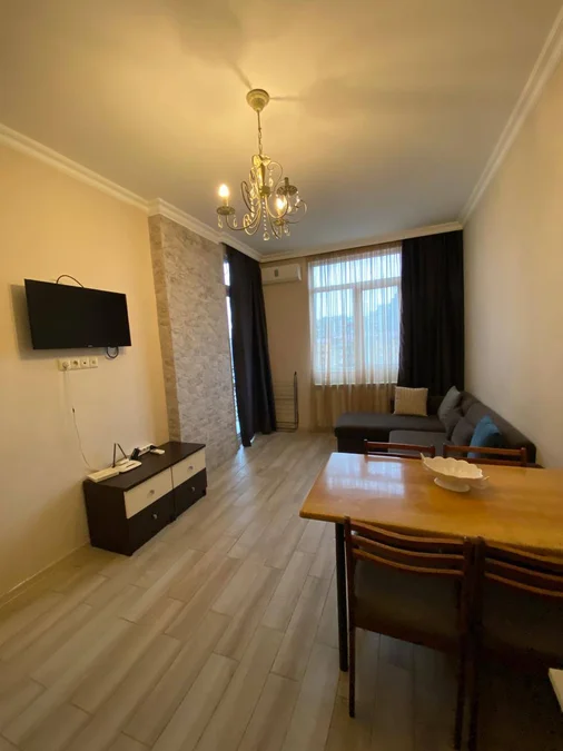 1-комн. квартира, 48 м², $450/мес