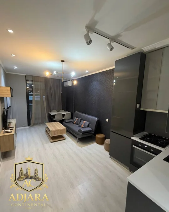 1+1 Пиросмани 17, Intourist Complex, $700