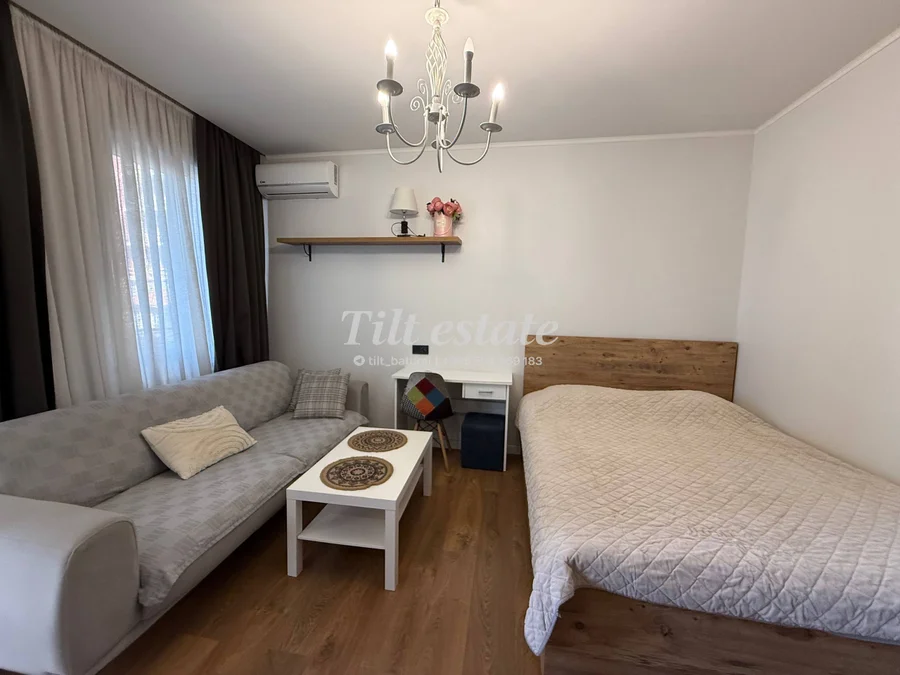Студия, Парнаваз Мепе 60, $450