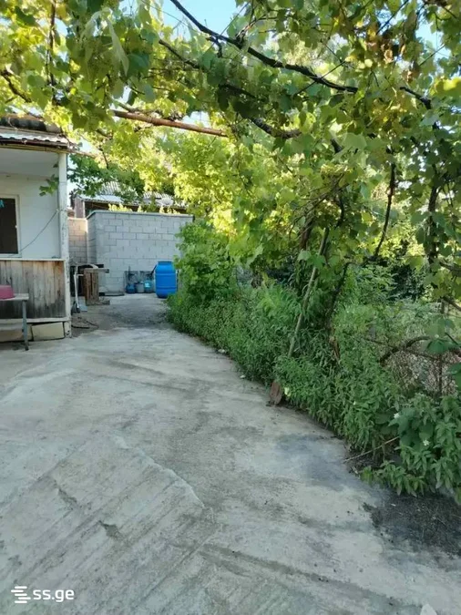 3 room Private House For Sale. Orkhevi