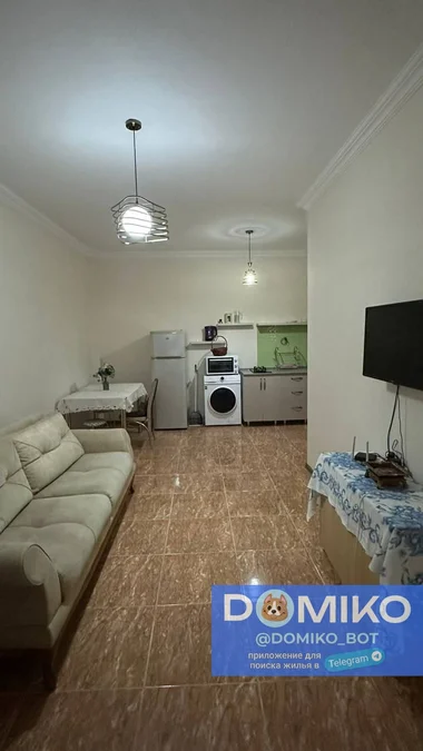 1+1 квартира, 55 м²