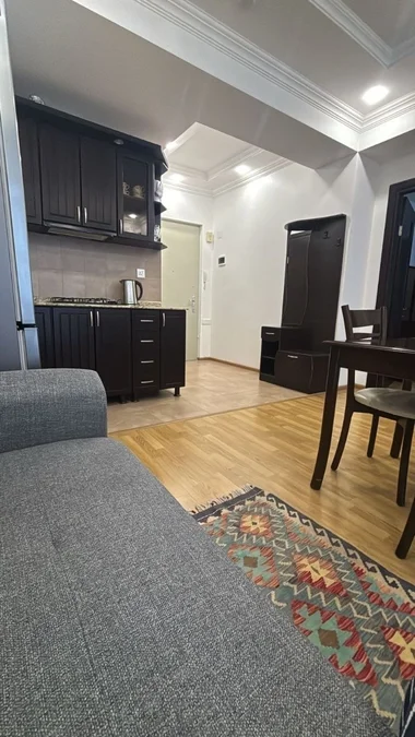 1+1 в центре , ул. Парнаваза, 55 м², $700