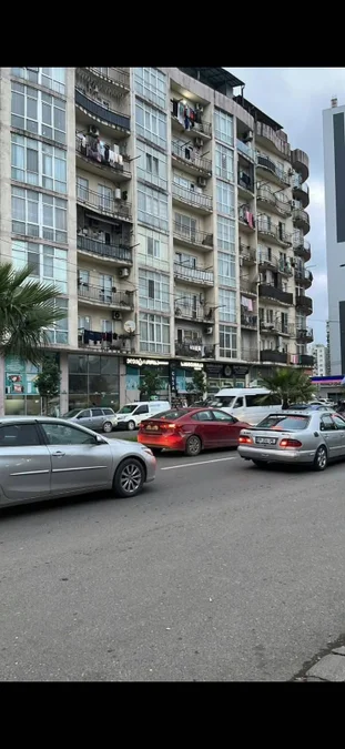 2-комнатная квартира (1+1) на ул. Багратиони, зеленый каркас