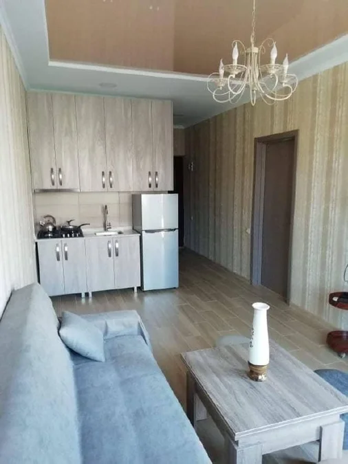 Квартира 1+1, 3 этаж, $450
