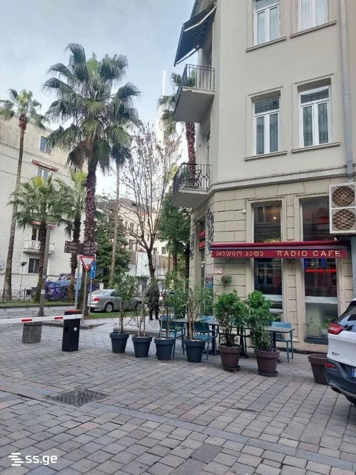 Долгосрочная аренда 3-комнатной квартиры в Rustaveli District