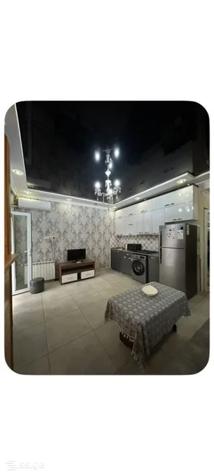 1+1 на Sh. Rustaveli Ave. 4 Rustaveli District
