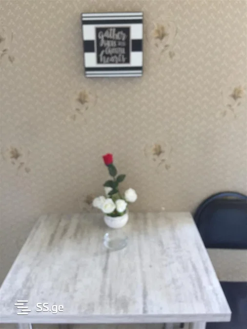 2 room Flat daily rent. Saburtalo