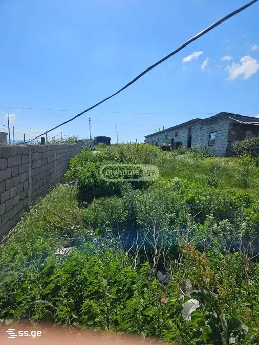 Земля на продажу. Варкетили