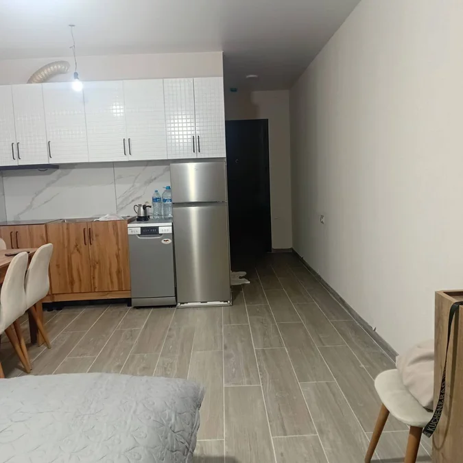Студия, Петре Багратиони, 131А, $530