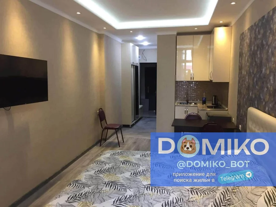 Studio room, 33 m² apartment