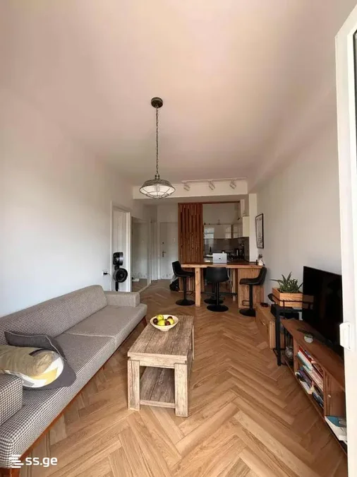 2 room Flat For Rent. Saburtalo