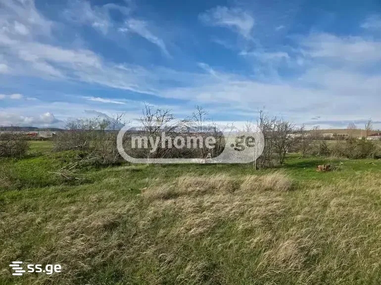 Земля на продажу. Лило