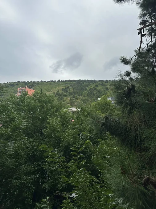 1-комнатная квартира, 45 кв.м, Ваке, $600