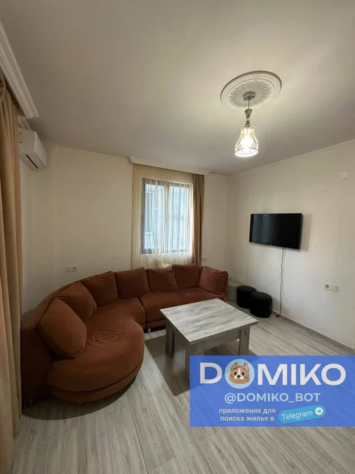 1+1 room, 50 m² apartment
