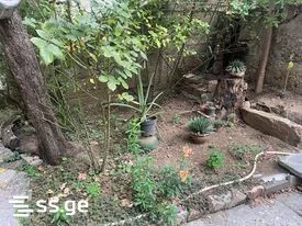 Первый этаж двухэтажного дома на улице Абашидзе, который отличает уютная обстановка, отдельный вход и красиво озелененный, приятный двор. Дом включает три спальни, отдельную кухню и гостиную. Планировка пространства обеспечивает комфортную и функциональную жилую среду, а собственный зеленый двор создает мирную и приятную атмосферу, отделенную от ритма города. Идеальный выбор для тех, кто ценит индивидуальное пространство, зелень и уют, характерный для дома, на востребованной локации города. Купите дом, где городской комфорт гармонично сочетается с спокойной, зеленой средой
