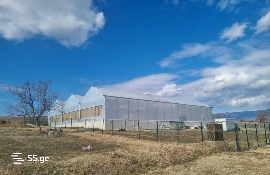 Земля на продажу. Лило