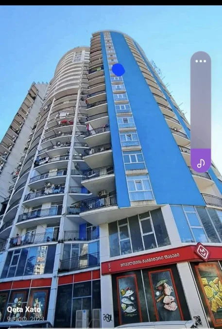 1+1, ул. Инасаридзе, 7, $500