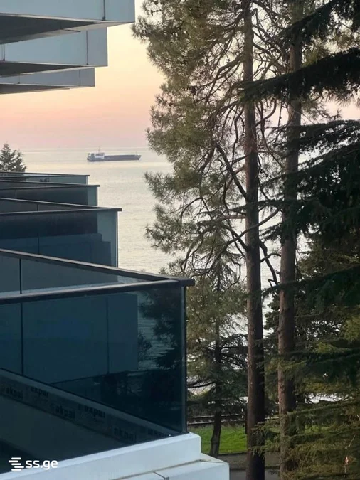 1+1 на Mziuri Gardens поселок Тамар 14 Tamar Settlement