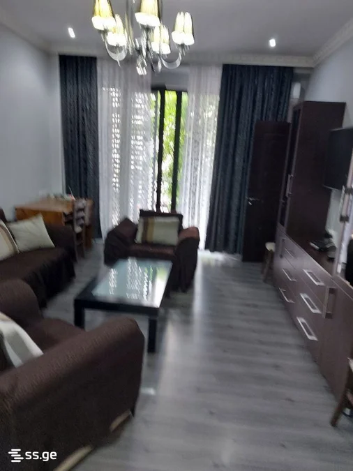 2 room Flat For Rent. Saburtalo